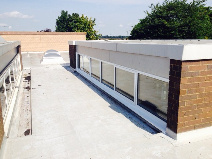 20140731-061937 pm-65977422.jpg